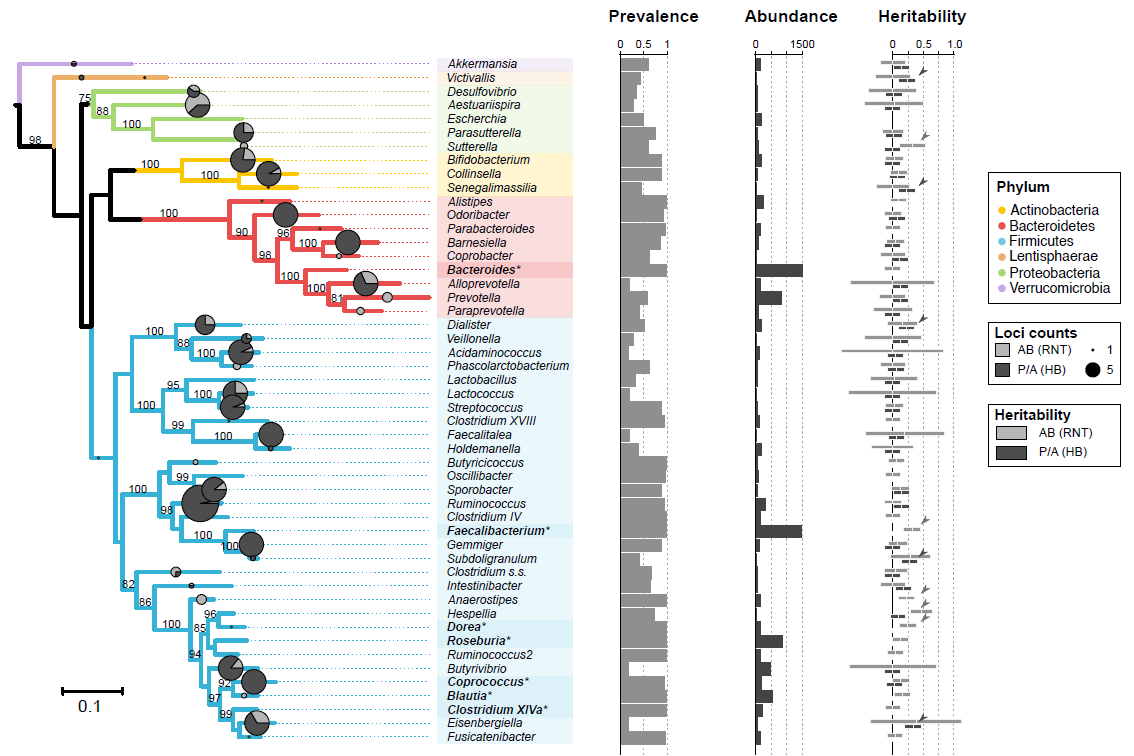 Figure 1 – MT-associated loci and heritability