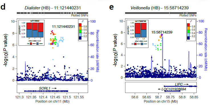 Figure 2 (ii) – Genomic variants associated with microbial traits